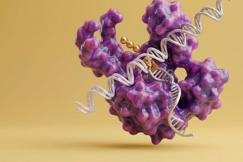 RT-qPCR Mixes