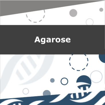 Agarose Powder Molecular Biology Grade