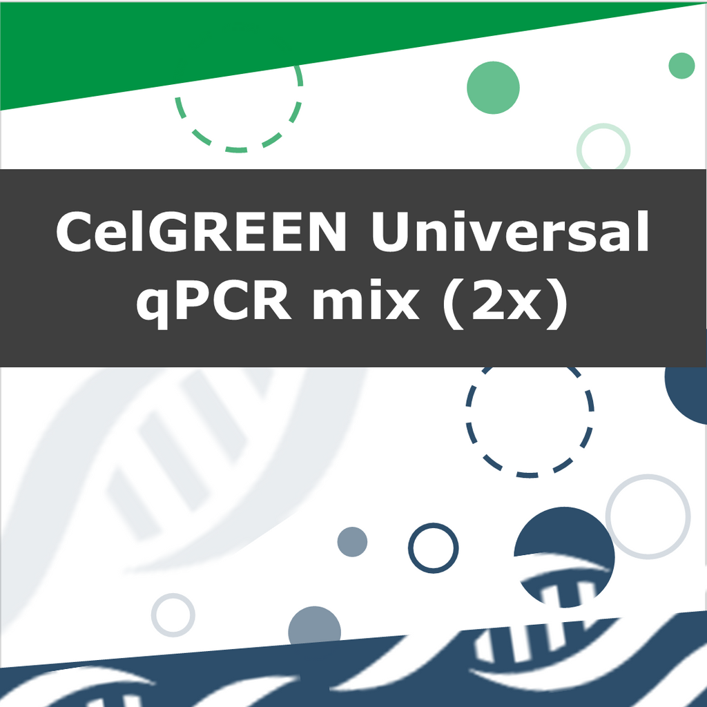 CelGREEN Universal qPCR mix, 2x - sample