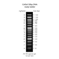 CelGel DNA ready ladders