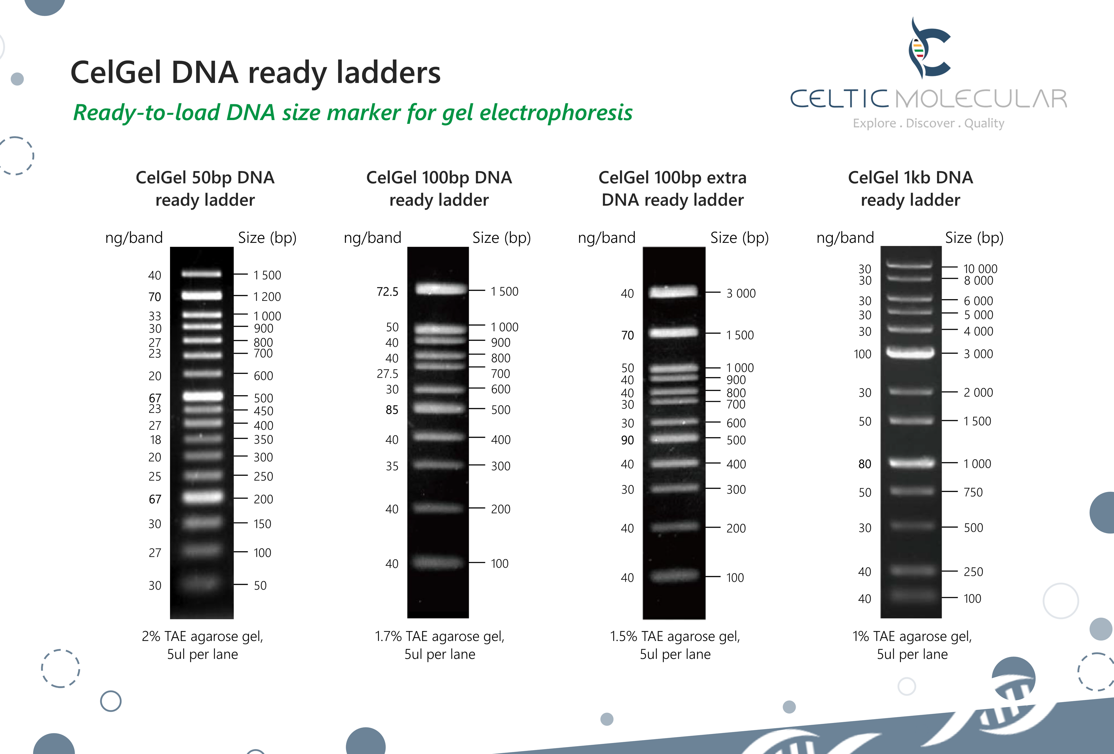 CelGel DNA ready ladders