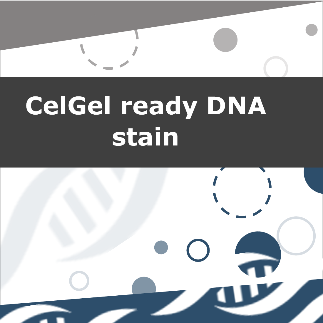 CelGel ready DNA stain and loading dye
