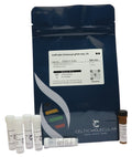 CelProbe Universal qPCR mix, 2x - sample