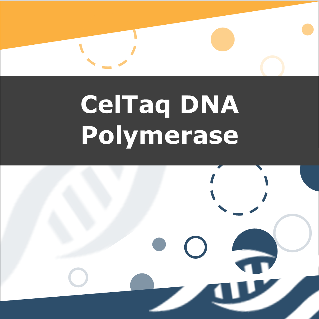 CelTaq DNA Polymerase - sample