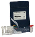 CelTaq DNA Polymerase - sample