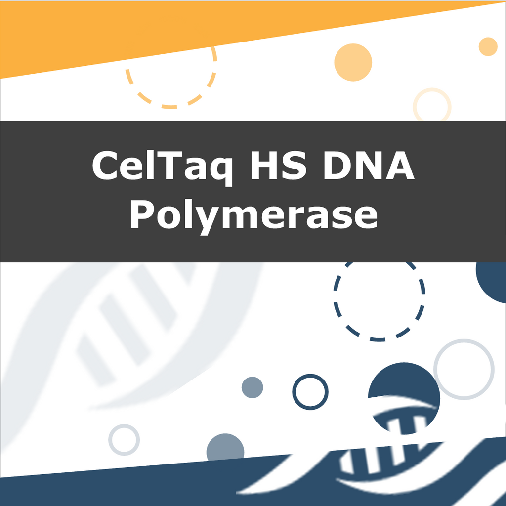 CelTaq HS DNA Polymerase - sample